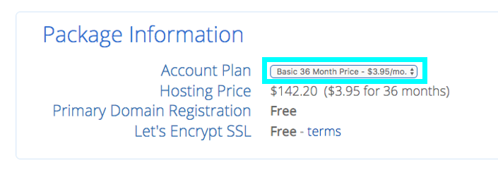 Bluehost package information