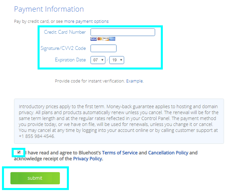 Enter your payment information